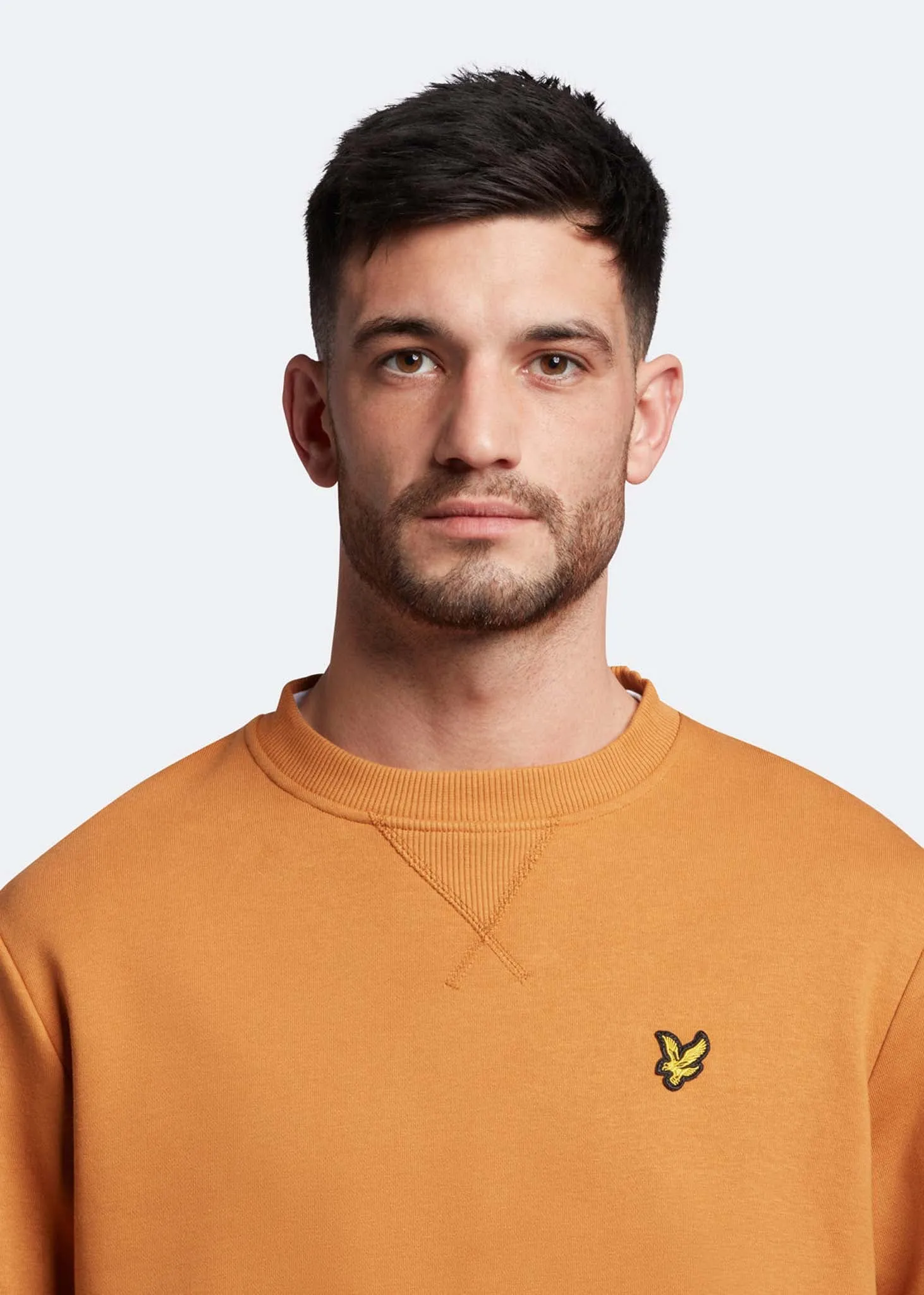 Crew neck sweatshirt - saltburn