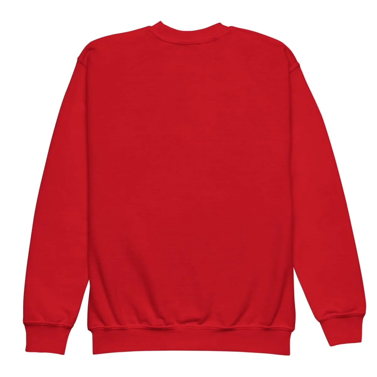 Embroidered Youth Crewneck Sweatshirt Dancing Hippopotamus