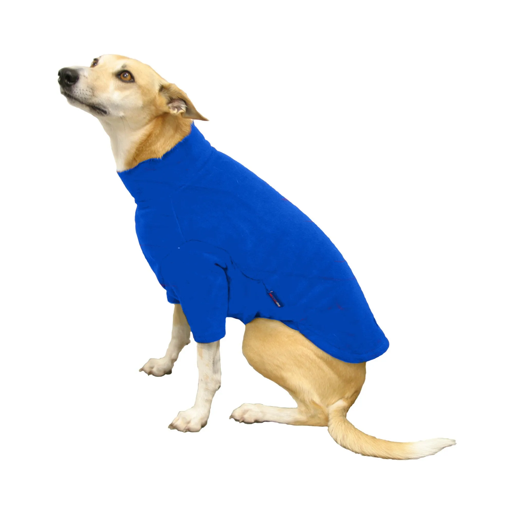 Hotterdog Dog Jumper Royal Blue