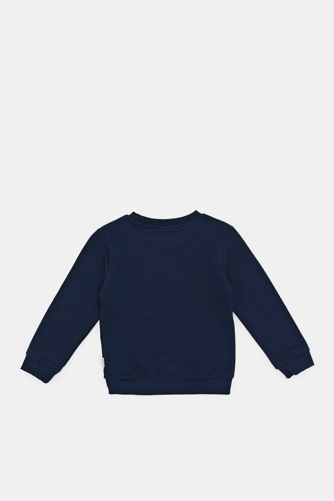 Infant Boys Grey And Navy Printed Sweatshirt Set (Pack Of 2)