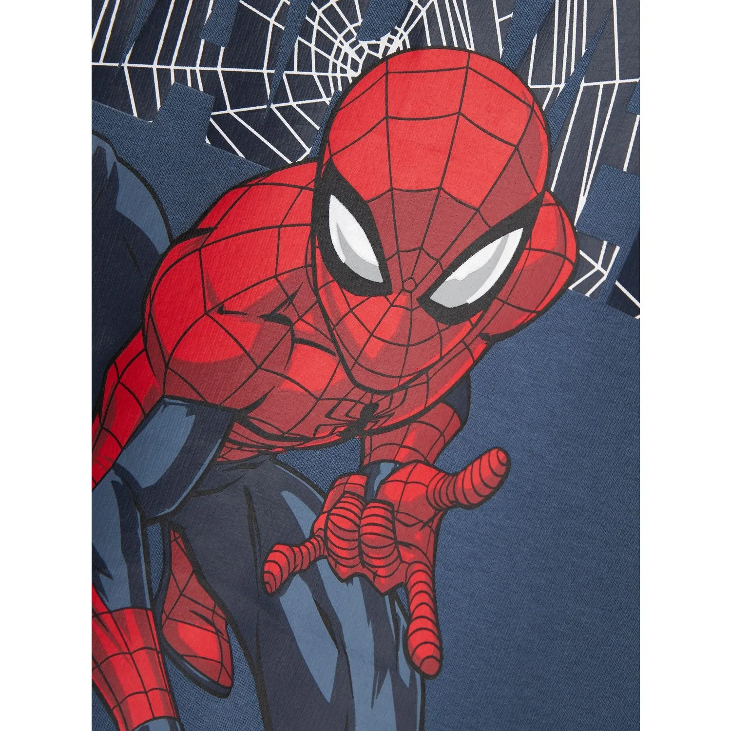 Name It Bering Sea Asist Spider Crewneck