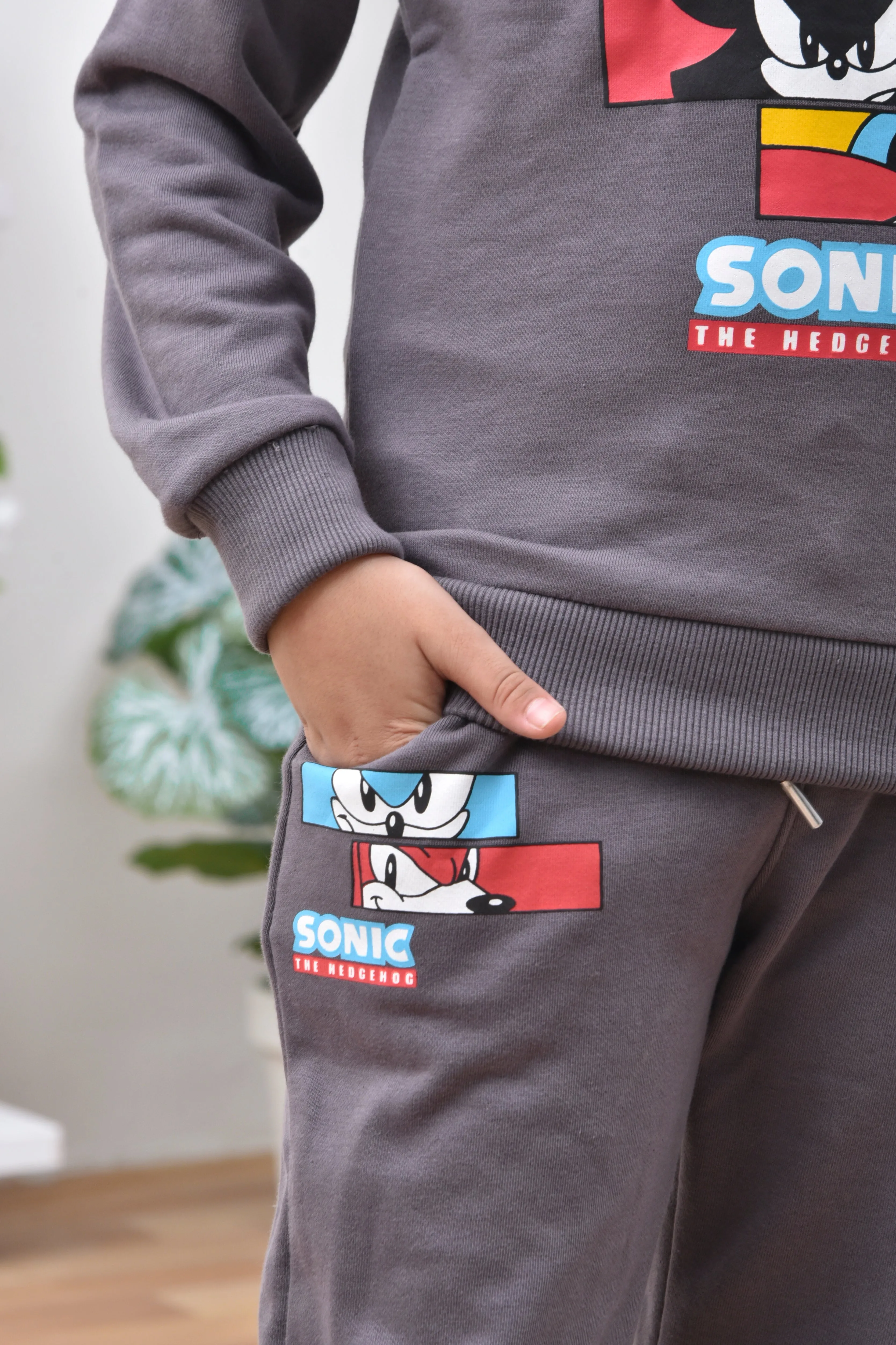 Sonic Printed Grey Sweatshirt