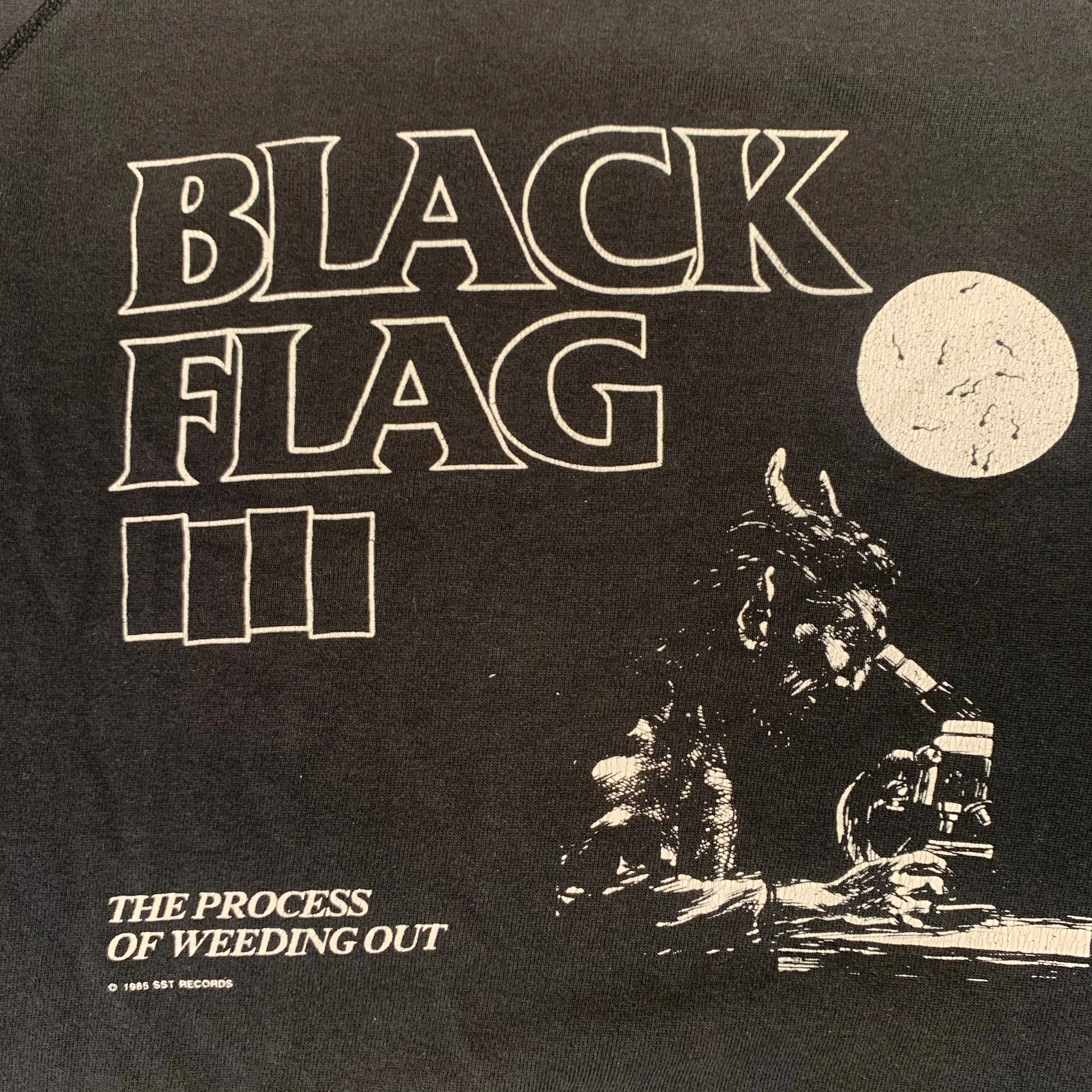 Vintage Black Flag "The Process Of Weeding Out" Raglan Sweatshirt